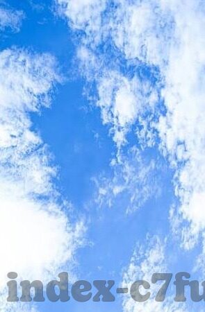 埃及进阶世界杯路程-埃及进阶世界杯之路，一场足球奇迹的演绎